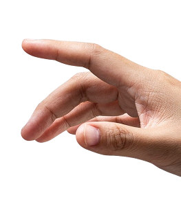 Human Hand Right